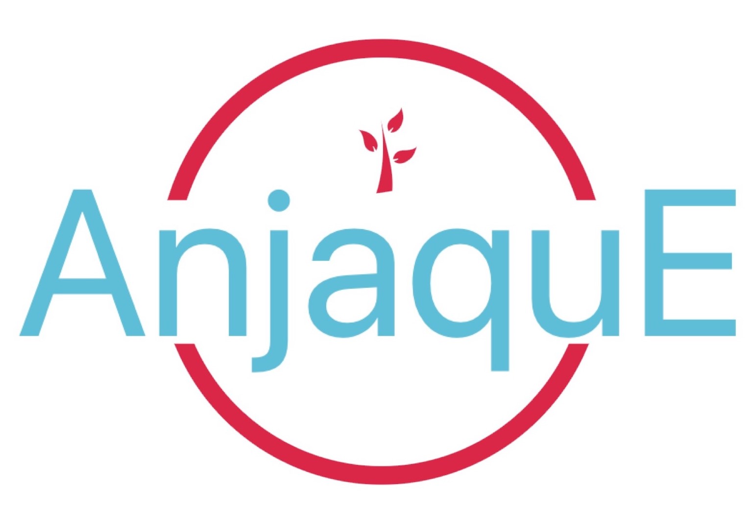 Home-ANJAQUE CONSULTING
